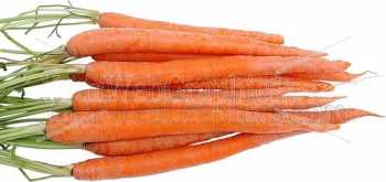 photo - carrots-jpg